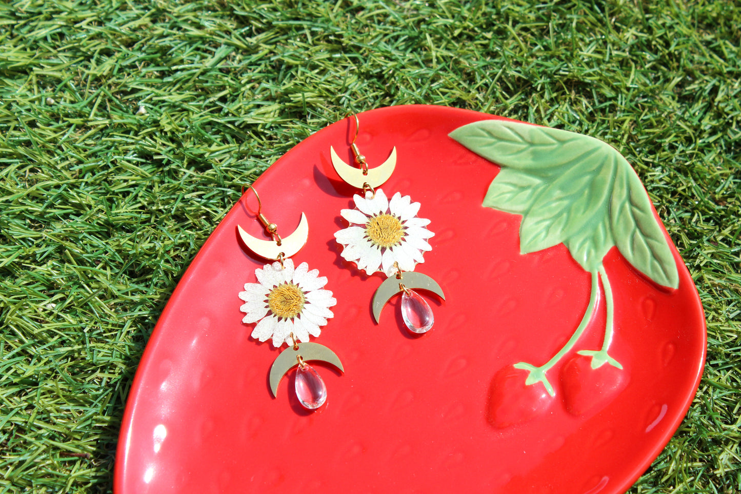 SUMMER DAISY
