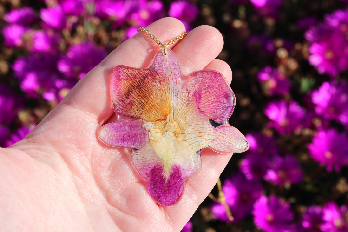COLGANTE DENDROBIUM