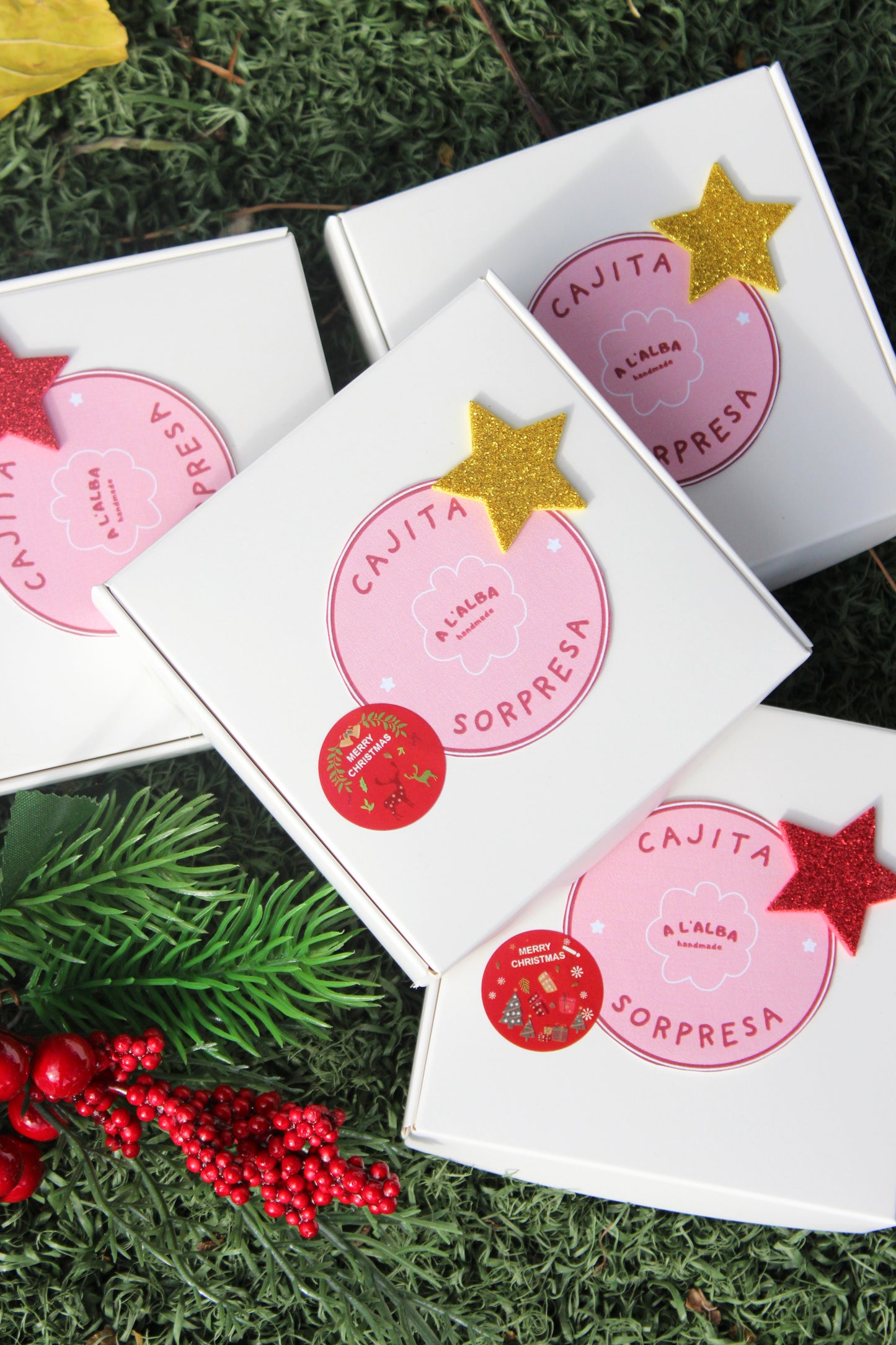 CAJITA SORPRESA / 2 joyitas