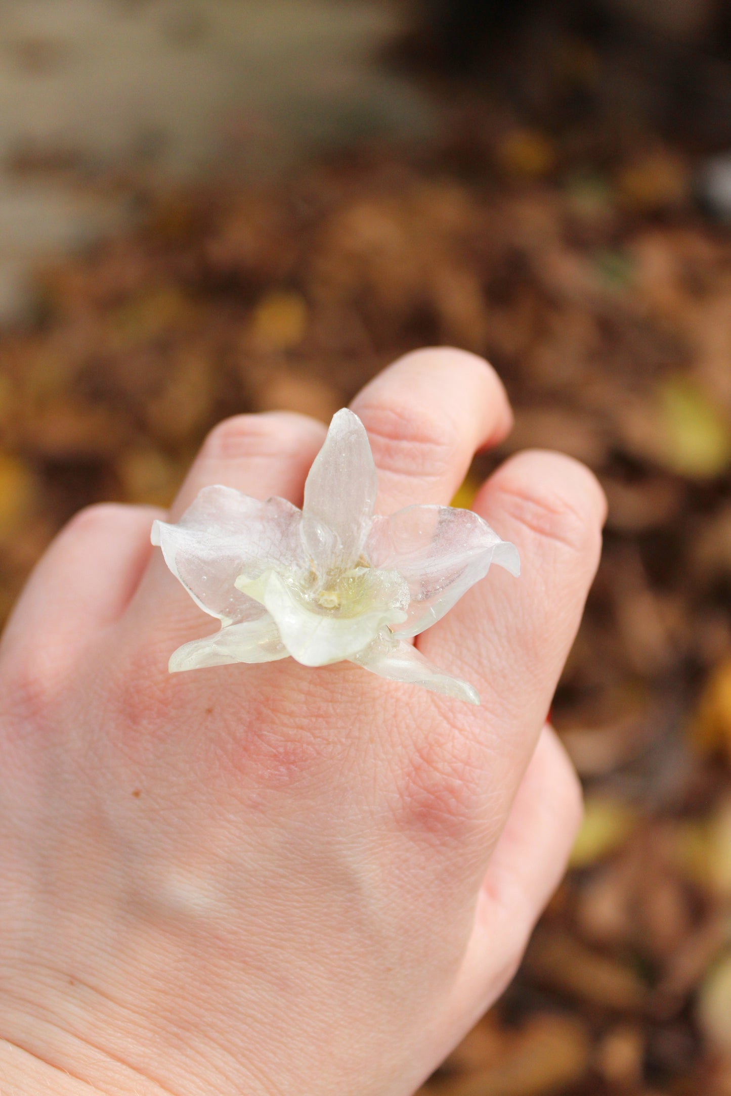 ANILLO MINI DENDROBIUM