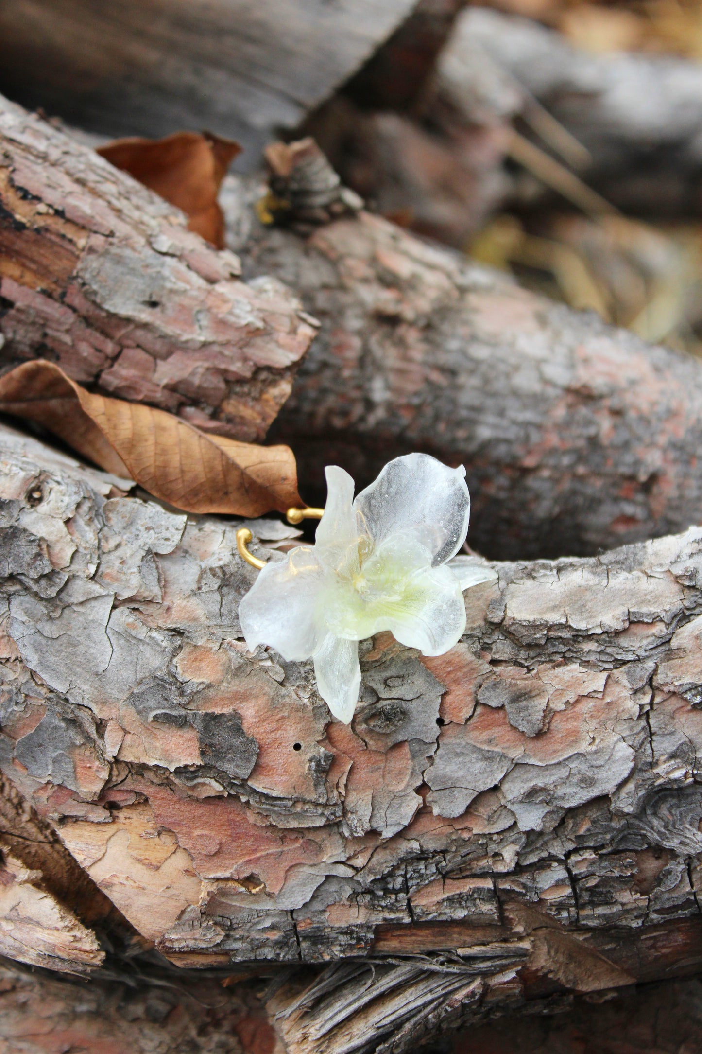 ANILLO MINI DENDROBIUM