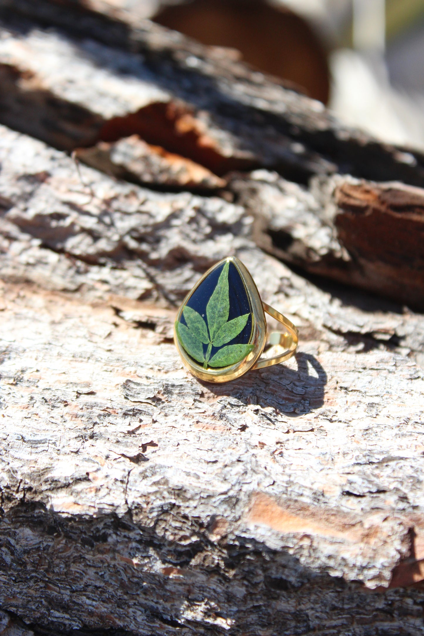 ANILLO RHIANNON