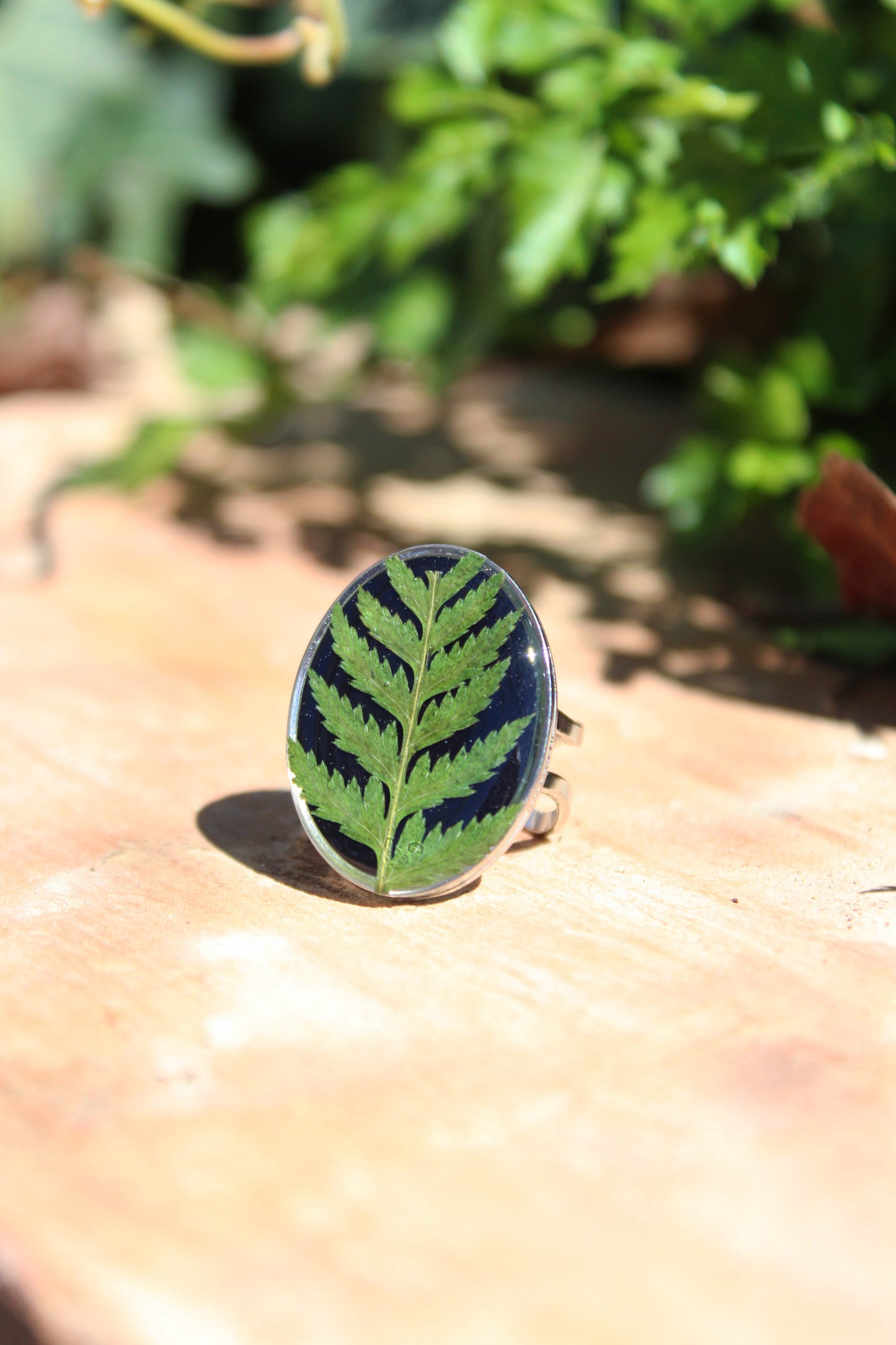 ANILLO FERN