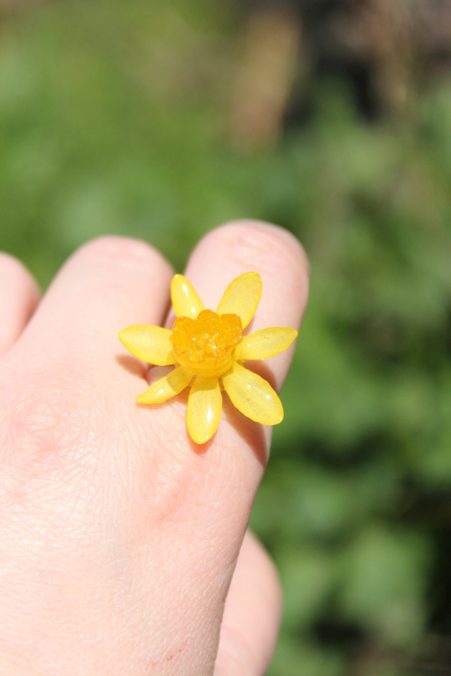 ANILLO NARCISO