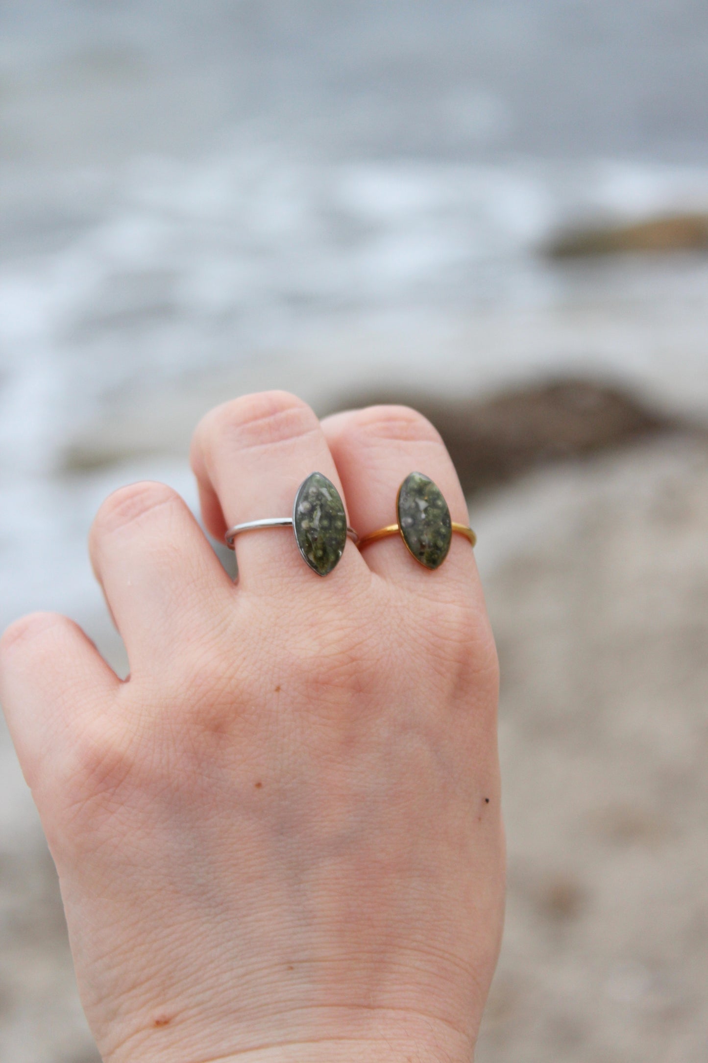 ANILLO ERIZO