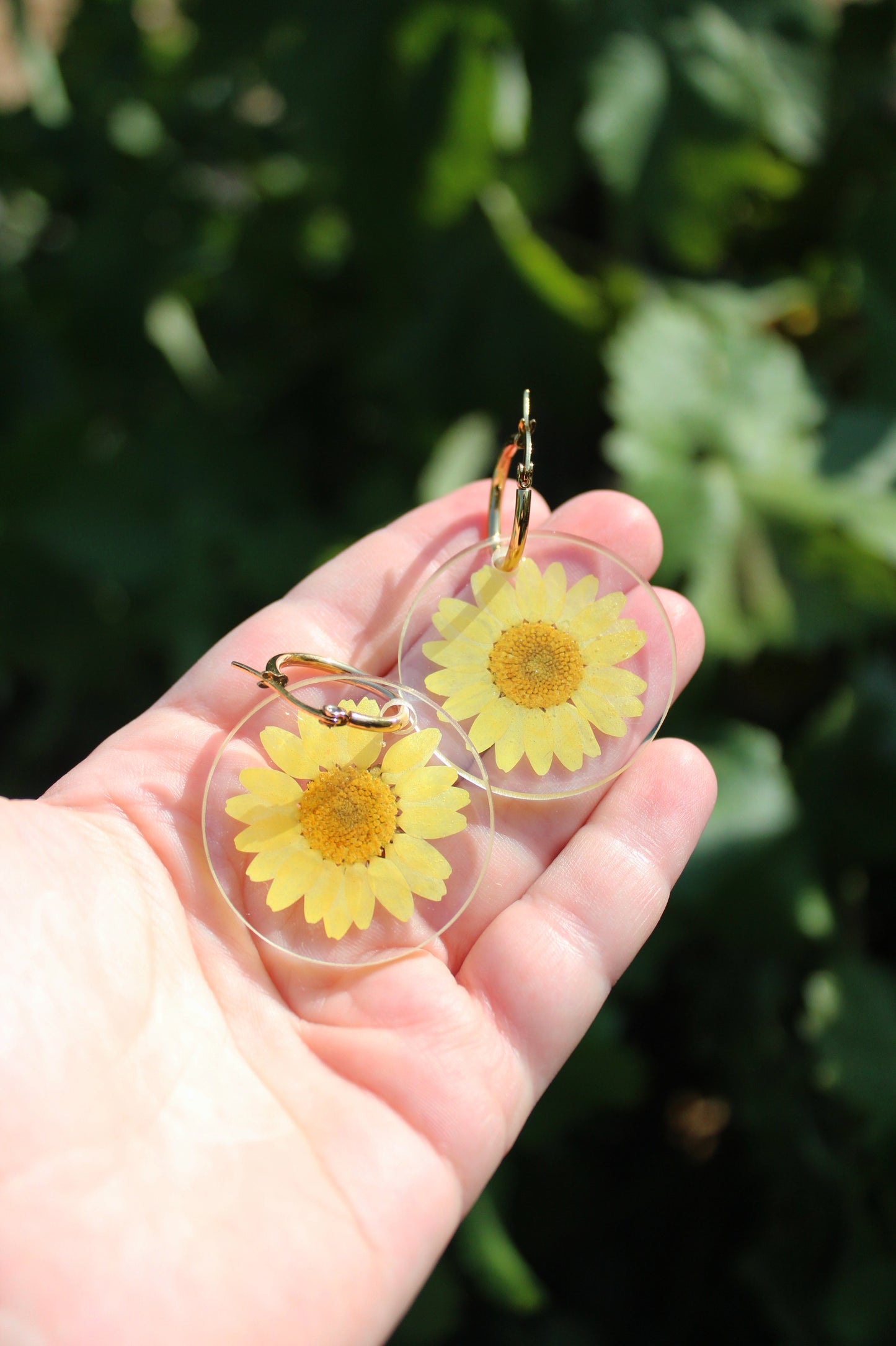 BIG DAISY amarillo