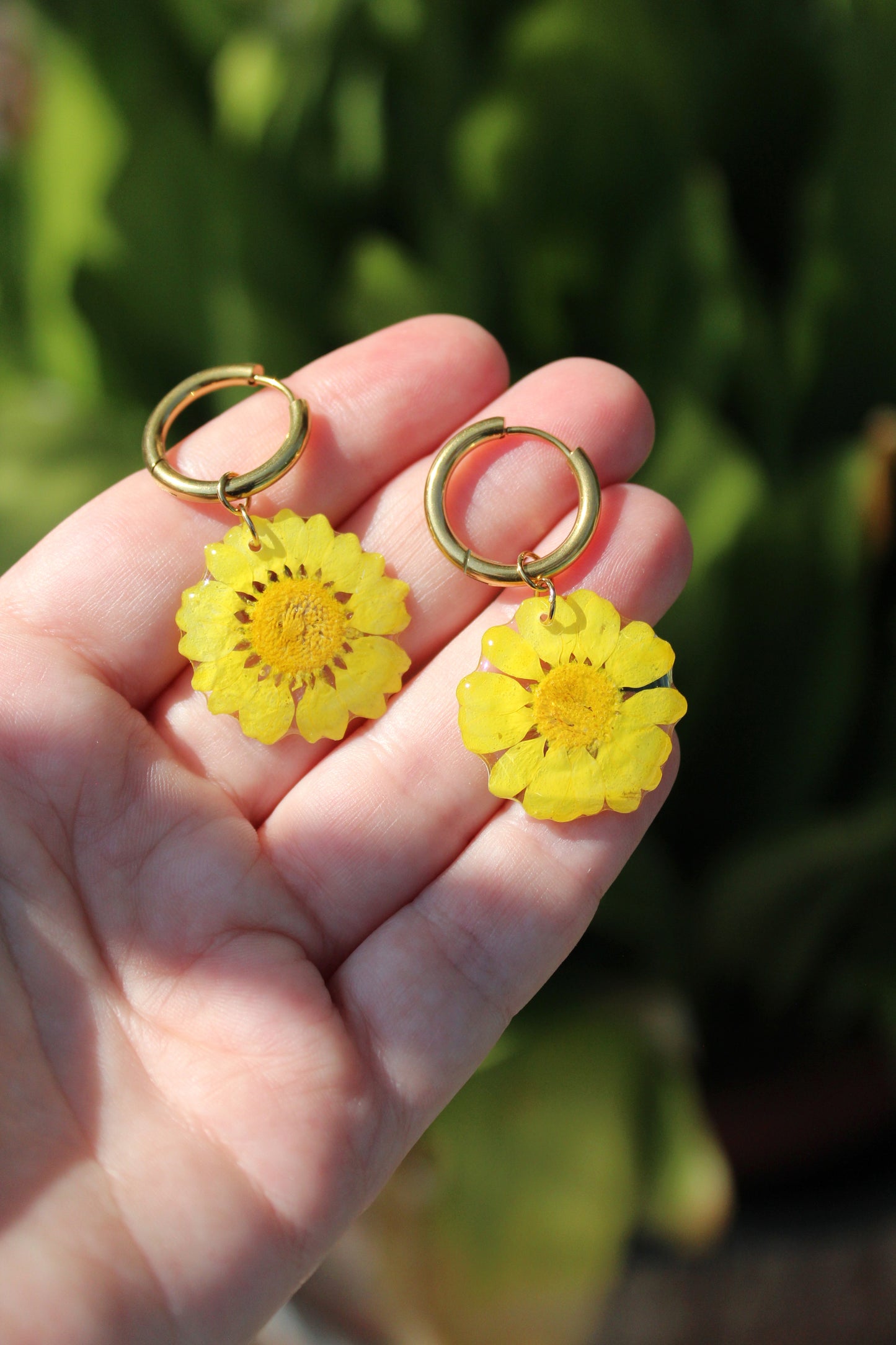 DAISY amarillo