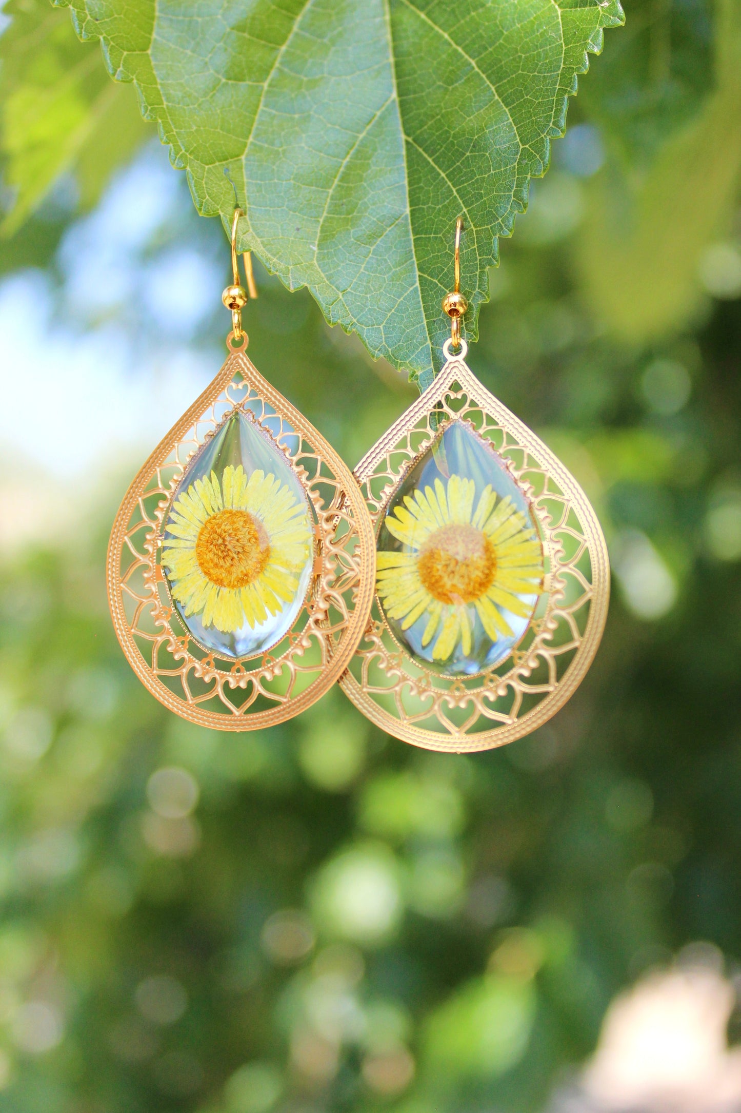 BOHO daisy