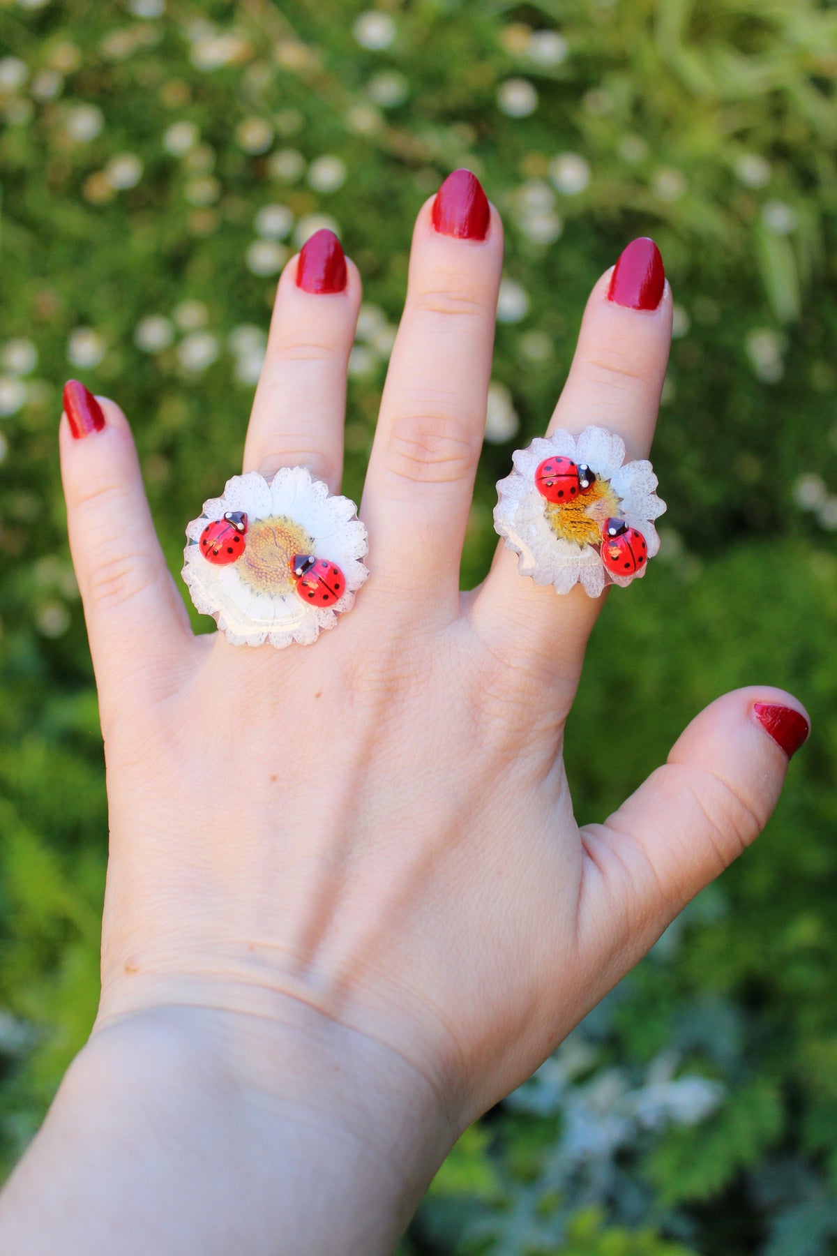 ANILLO DAISY ladybug