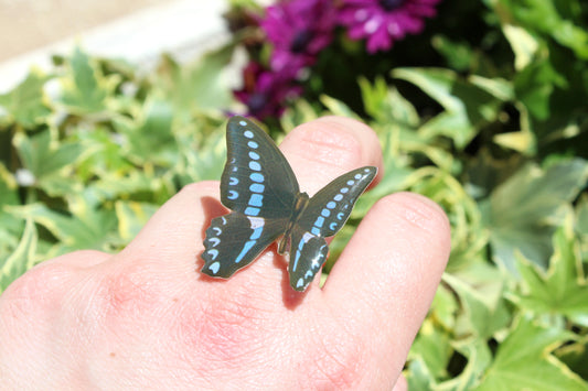 ANILLO MARIPOSA