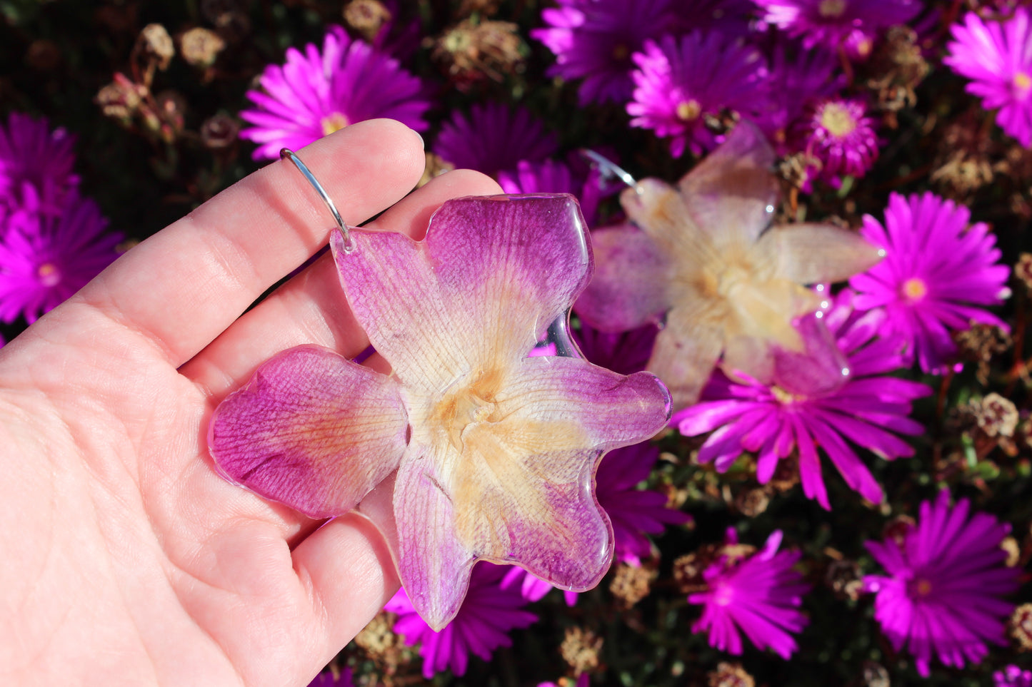 ORQUÍDEA