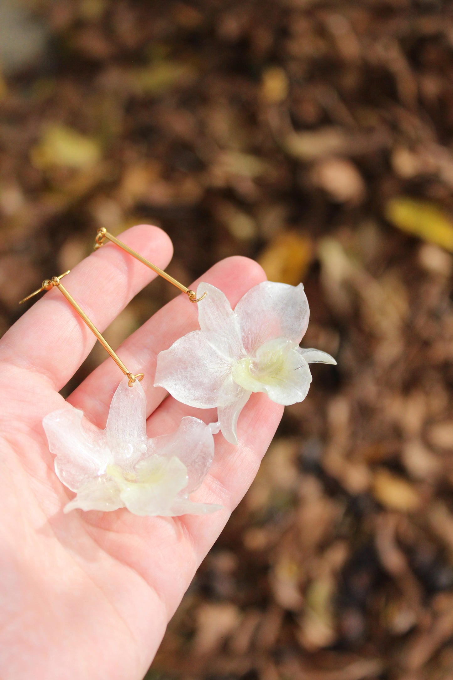 MINI DENDROBIUM