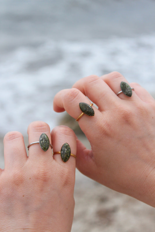 ANILLO ERIZO