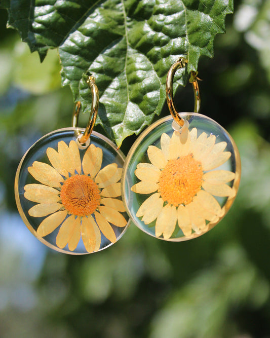 BIG DAISY naranja
