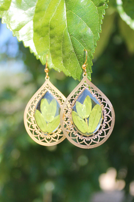 BOHO verde