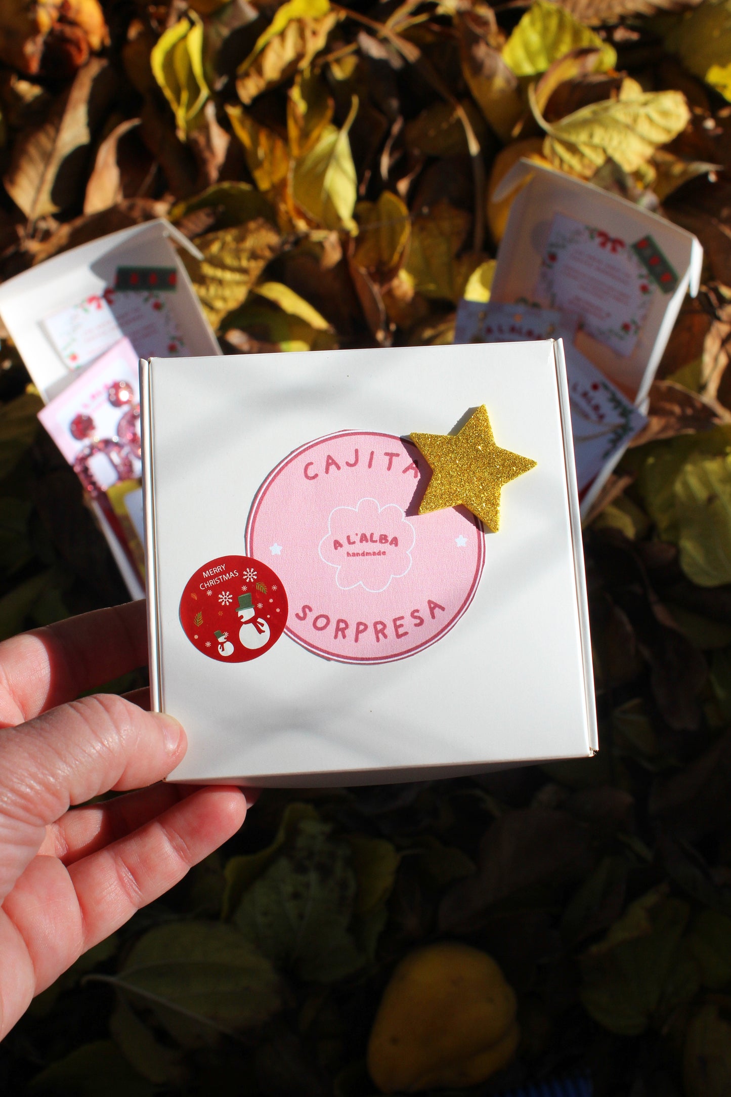 CAJITA SORPRESA / 2 joyitas