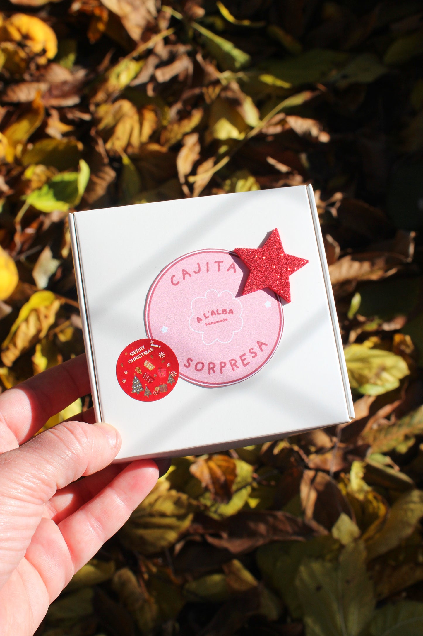 CAJITA SORPRESA / 1 joyita