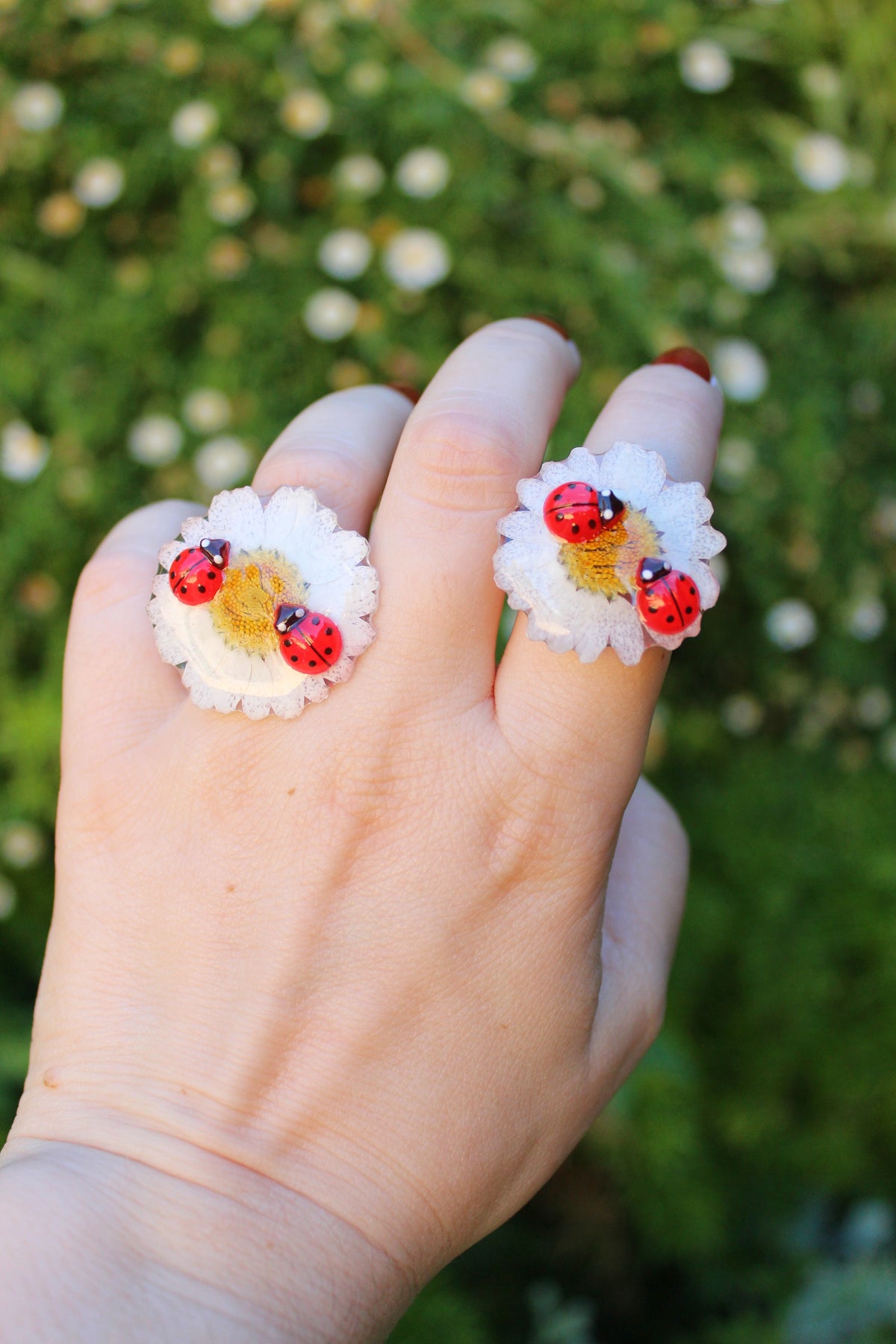 ANILLO DAISY ladybug